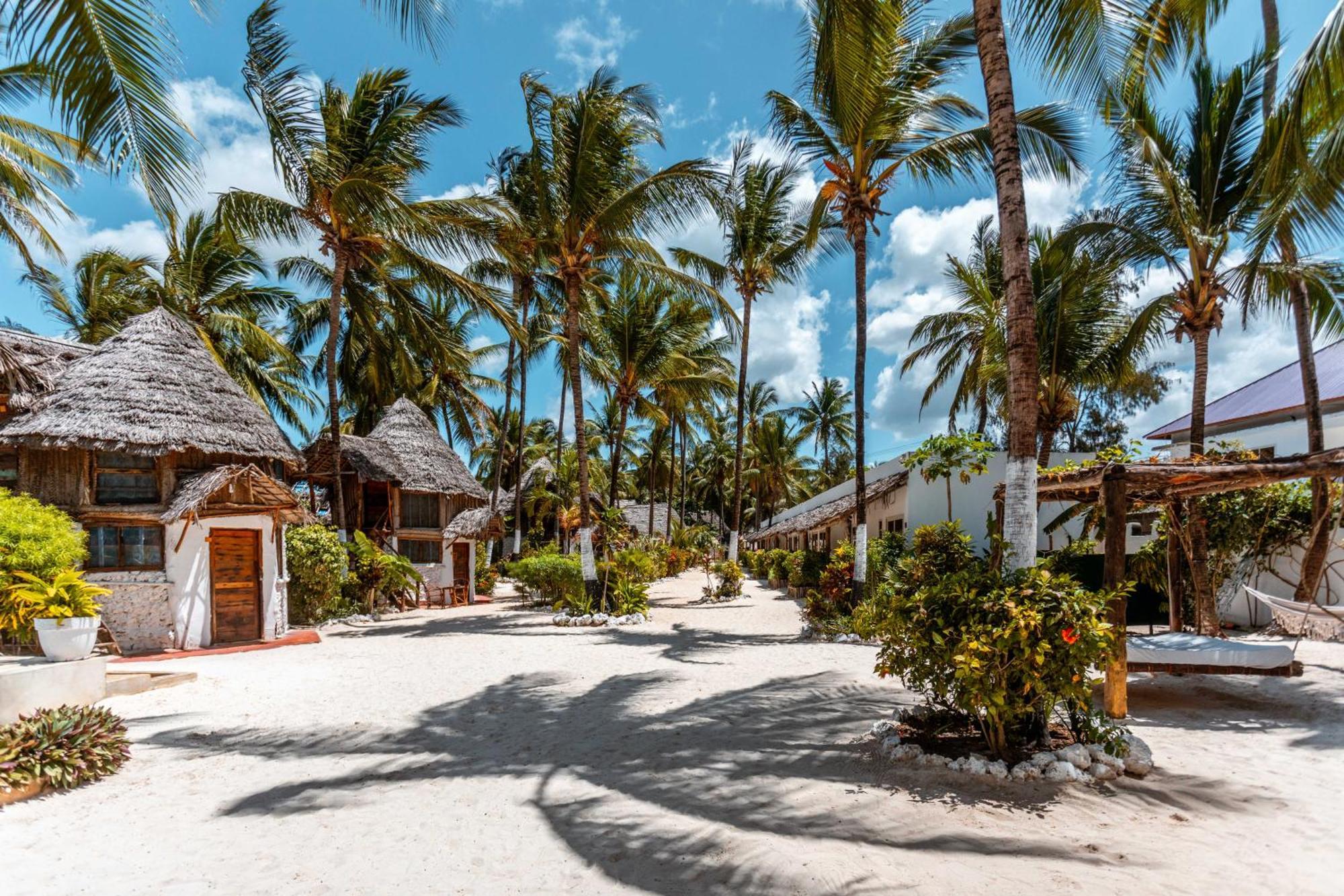 Maisha Matamu Beach Hotel Paje Extérieur photo